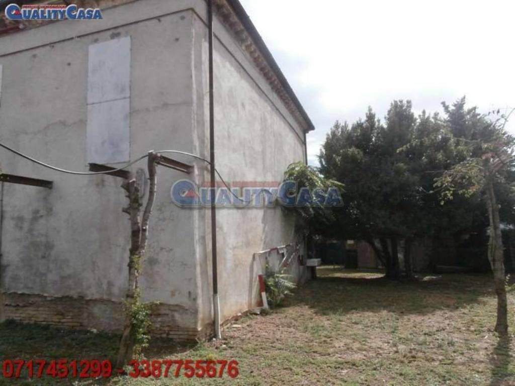 Rustico / casale a Montemarciano in Via Oliveto s.n.c - Foto 2