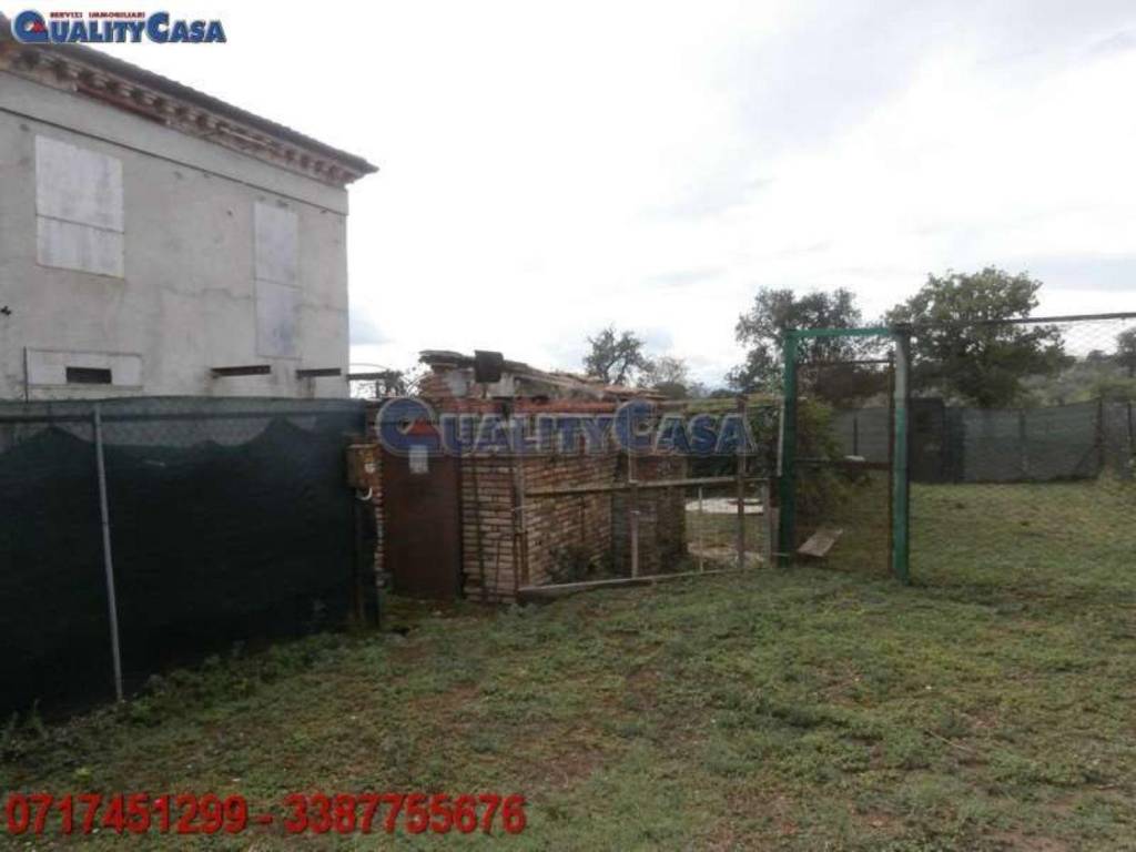 Rustico / casale a Montemarciano in Via Oliveto s.n.c - Foto 4