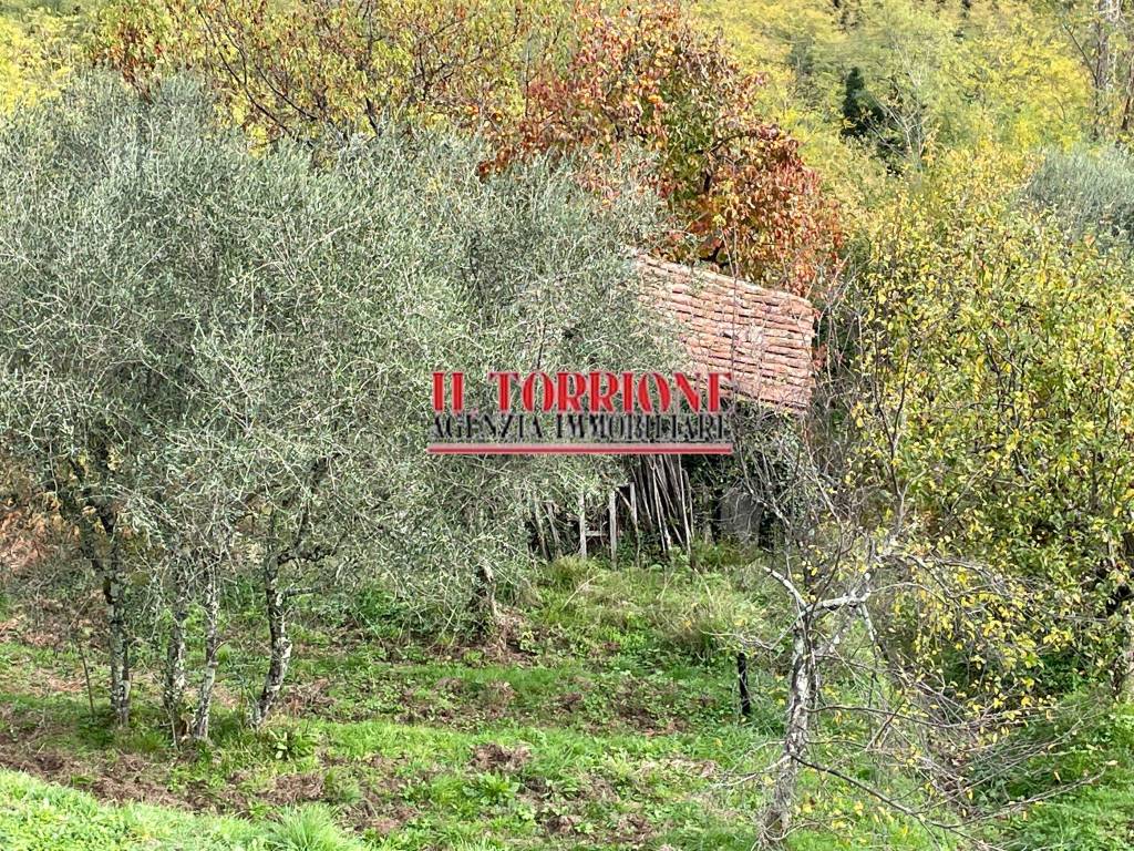 Rustico / casale a Villa basilica in Via del Castello - Foto 3