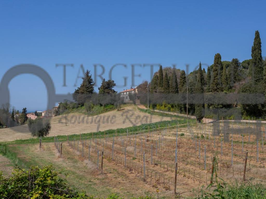 Rustico / casale a Bibbona in Strada Provinciale della Camminata - Foto 2