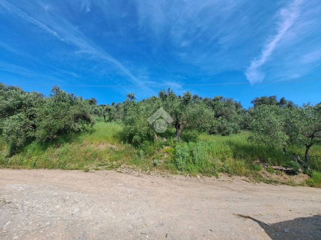Terreno a Follonica in Località Valli, 1 - Foto 3