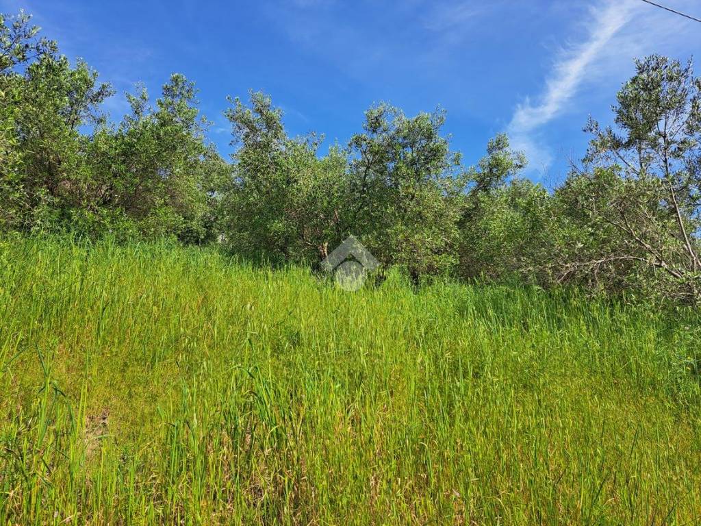 Terreno a Follonica in Località Valli, 1 - Foto 4