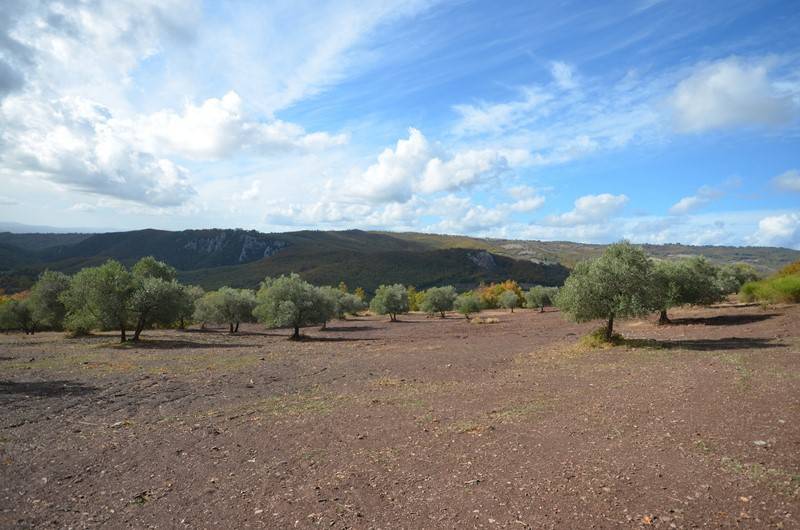 Rustico / casale a Roccalbegna in Strada Vicinale delle Aiole - Foto 2
