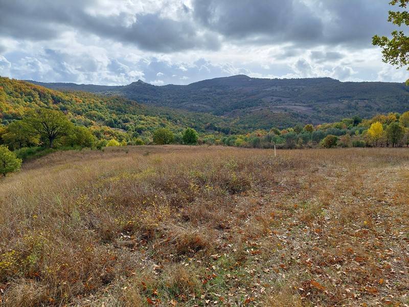 Rustico / casale a Roccalbegna in Strada Vicinale delle Aiole - Foto 5
