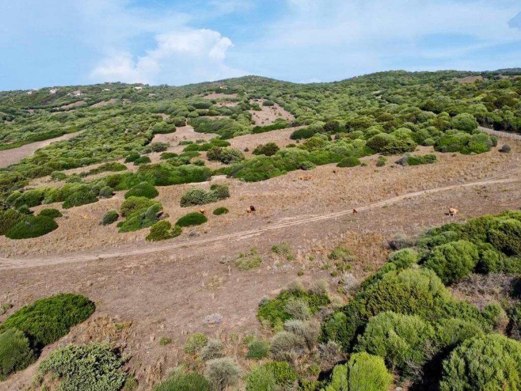Terreno a Trinità d'agultu e vignola in Località Li Mindi - Foto 3