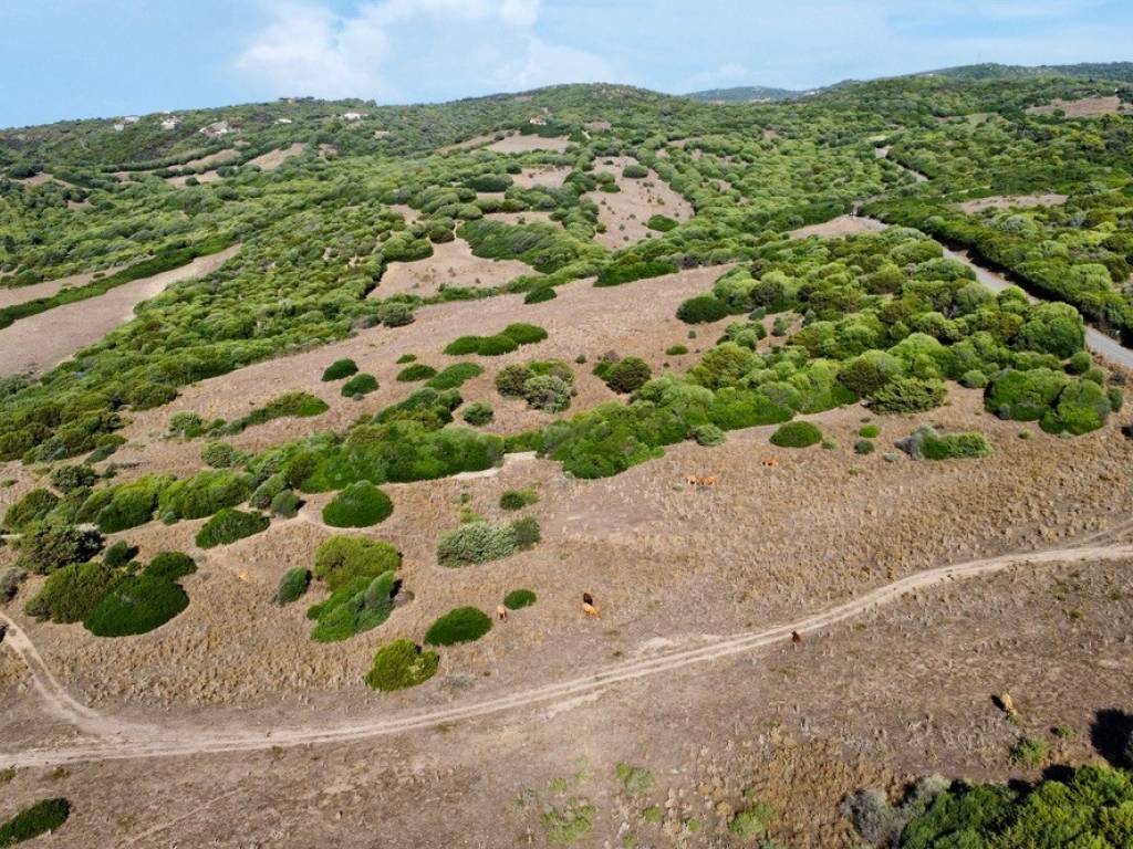 Terreno a Trinità d'agultu e vignola in Località Li Mindi - Foto 4