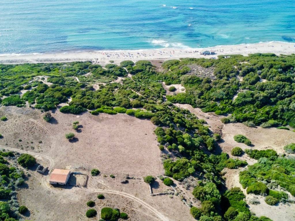 Rustico / casale a Trinità d'agultu e vignola - Foto 3