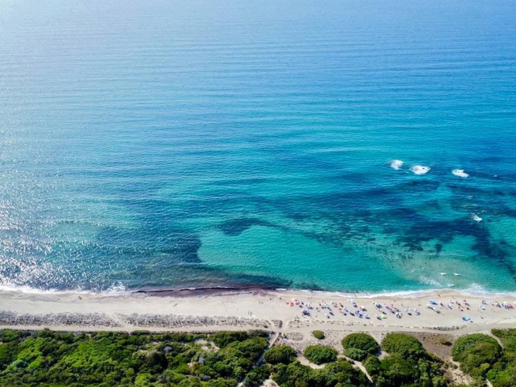 Rustico / casale a Trinità d'agultu e vignola - Foto 5