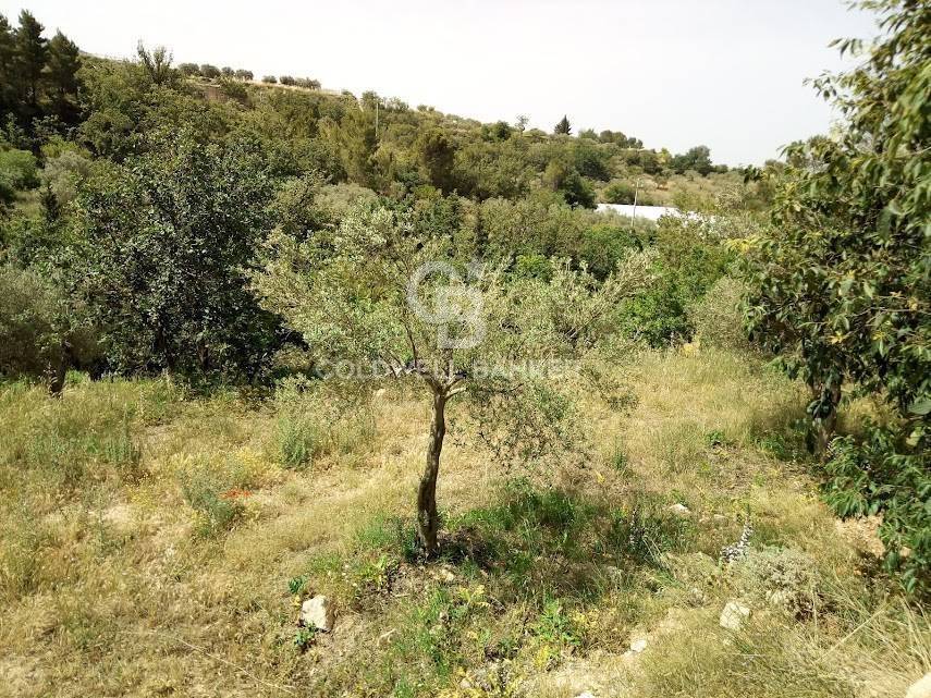 Rustico / casale a Chiaramonte gulfi in C.da Cacciatore - Foto 4