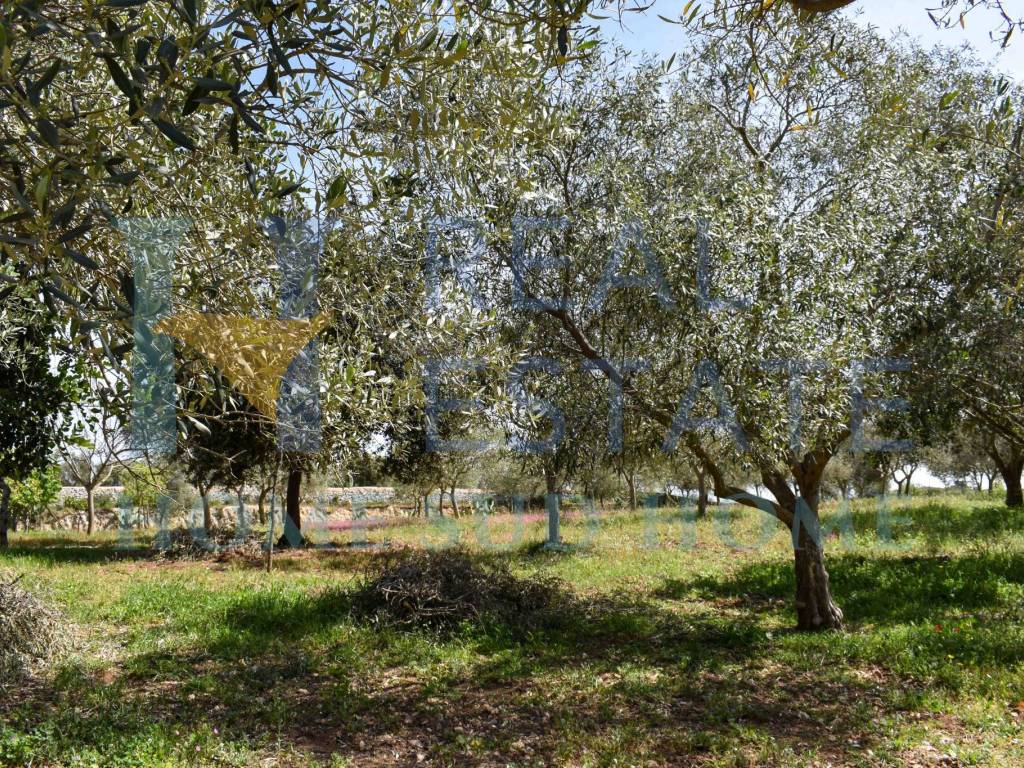 Villa a Noto in Via Tommaso Fazello, 228 - Foto 4