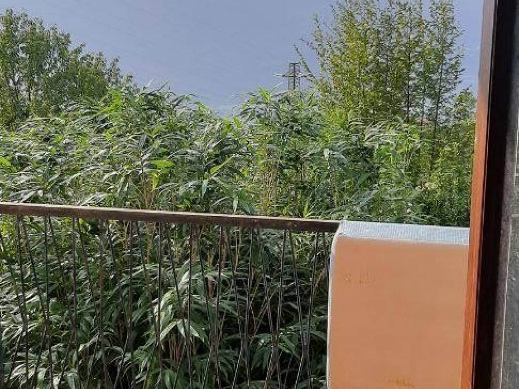 Rustico / casale a Lierna - Foto 5