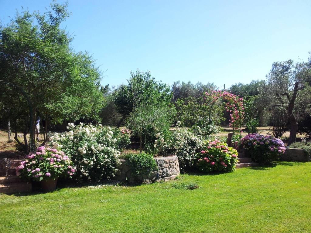 Villa a Monte argentario in Strada Provinciale La Parrina - Foto 2