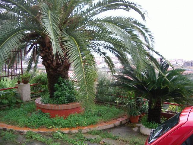 Villa a Vibo valentia in Via Longobardi Traversa 1 - Foto 3