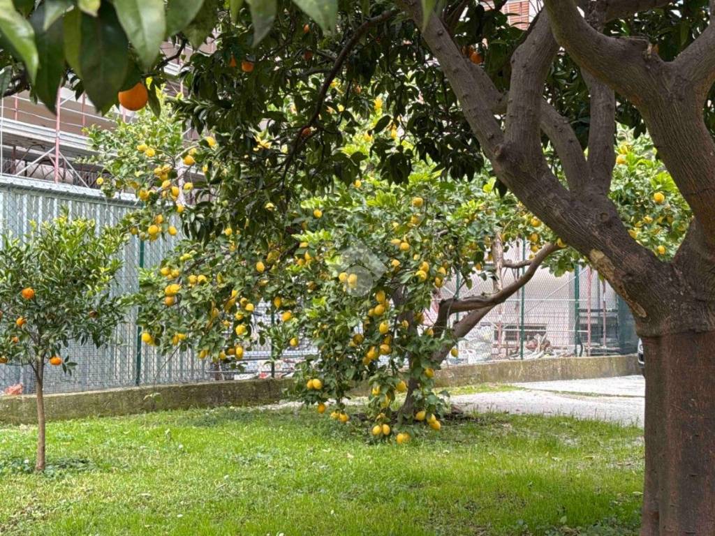 Villa a Venafro in Via Volturno, 2 - Foto 5