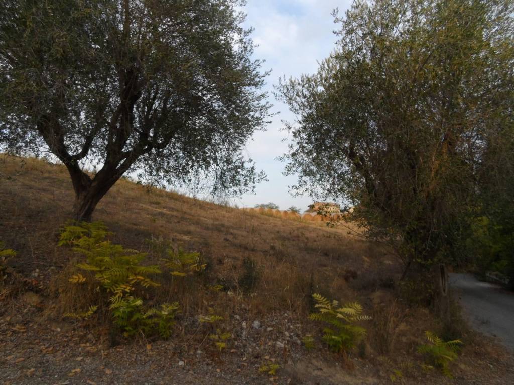 Terreno a Castorano in Contrada San Silvestro - Foto 4