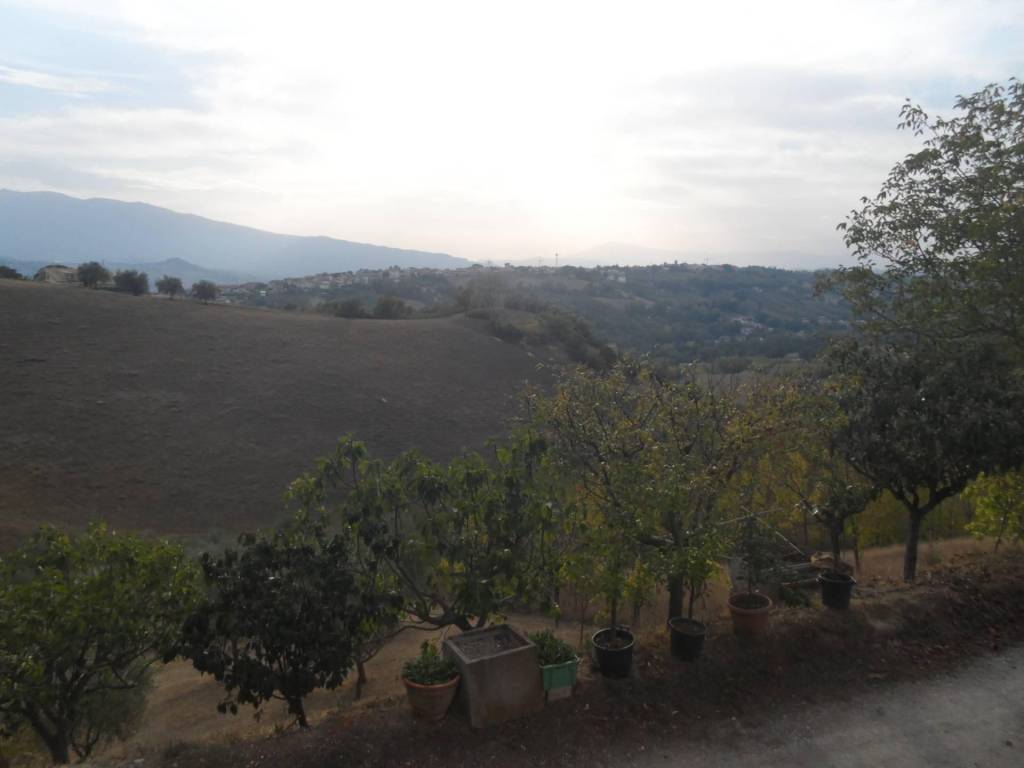 Terreno a Castorano in Contrada San Silvestro - Foto 5