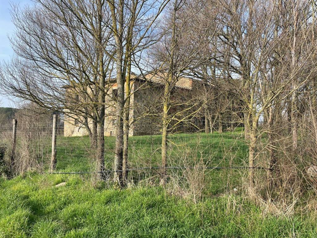 Rustico / casale a Cortona in Località Appalto - Foto 2