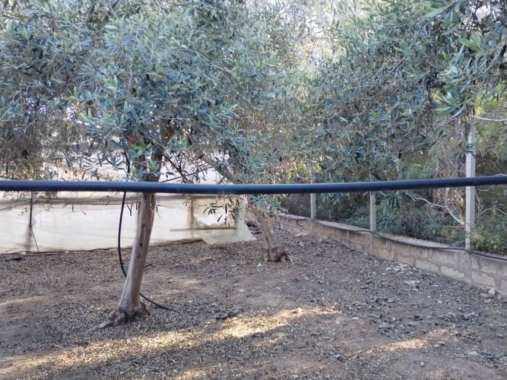 Terreno a Santa croce camerina in Via della Colombara - Foto 5