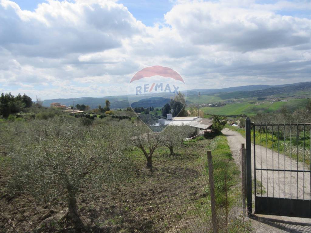 Terreno a Caltanissetta in contrada Montone - Foto 3