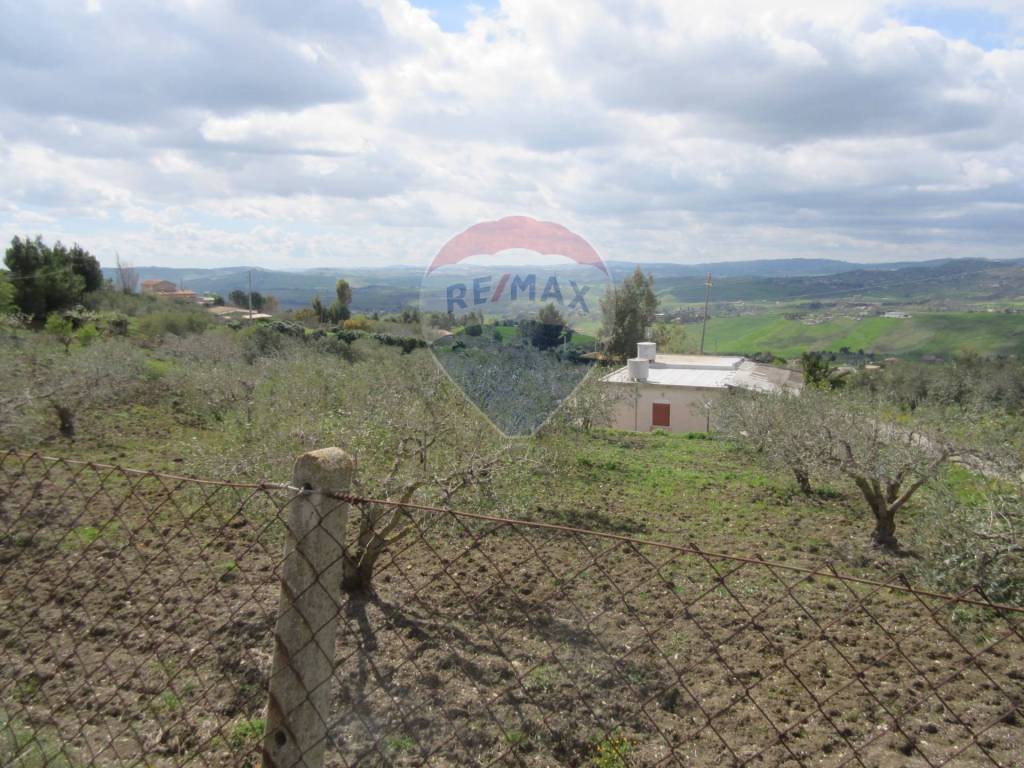 Terreno a Caltanissetta in contrada Montone - Foto 4