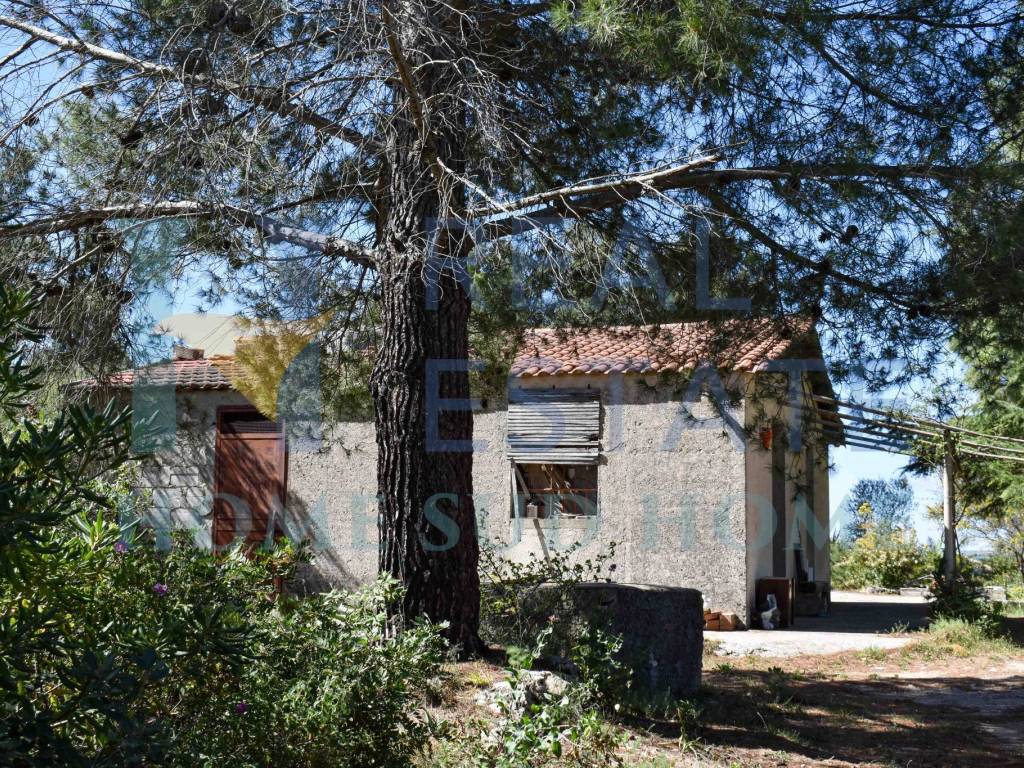 Rustico / casale a Noto in Via Tommaso Fazello, 228 - Foto 3