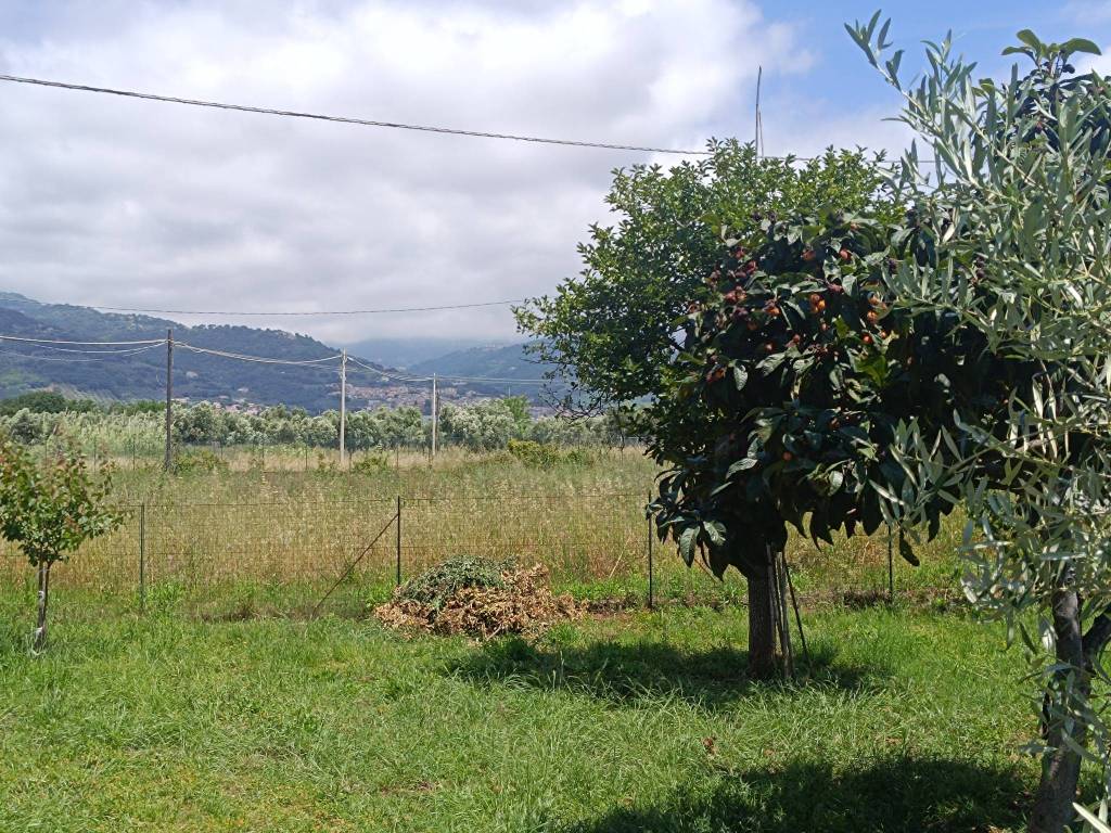 Terreno a Lamezia terme in Via dei Bizantini - Foto 3