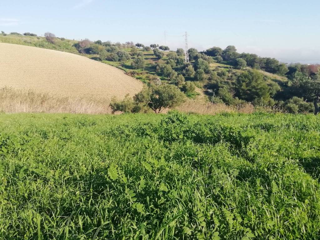 Terreno a Sciacca in Via Enrico Ghezzi - Foto 3