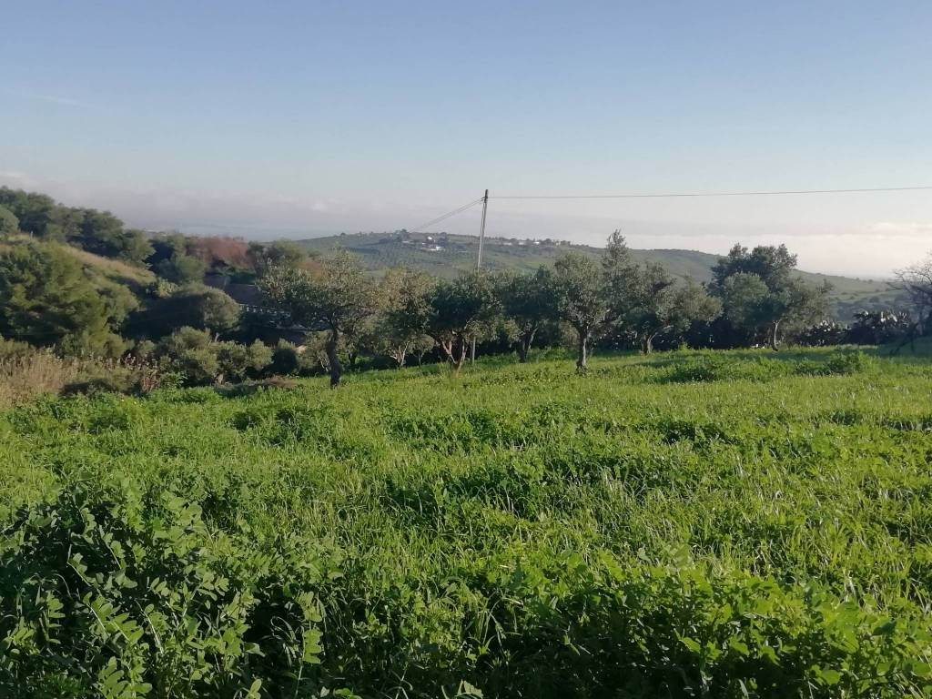 Terreno a Sciacca in Via Enrico Ghezzi - Foto 4