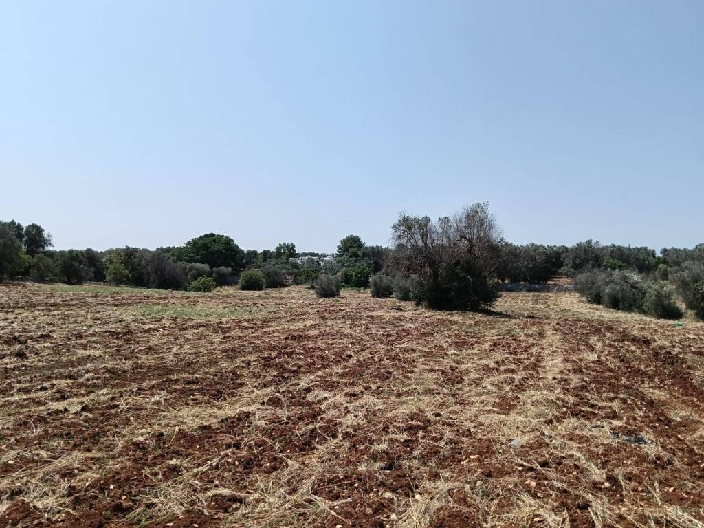 Rustico / casale a Ostuni in Contrada Santo Scalone - Foto 2