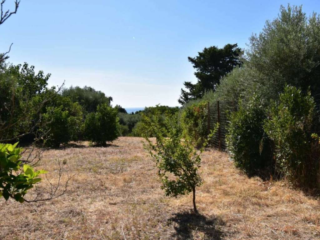 Terreno a Avola in via Chiusa di Carlo - Foto 3