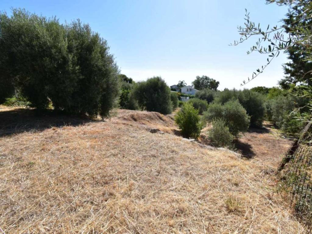 Terreno a Avola in via Chiusa di Carlo - Foto 4