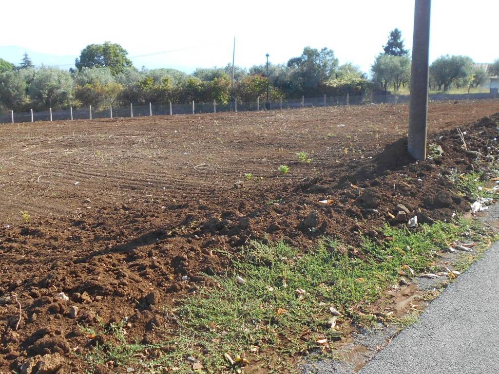 Terreno a Monte compatri in Via Palocci - Foto 4
