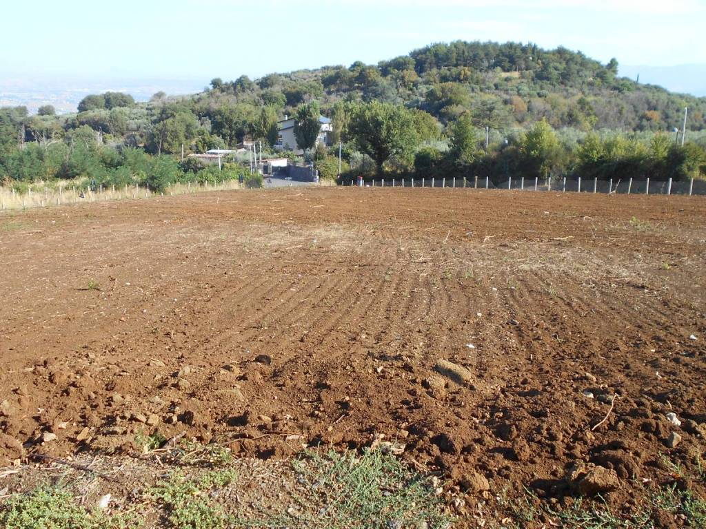 Terreno a Monte compatri in Via Palocci - Foto 5