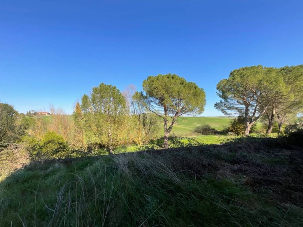 Appartamento a Asciano in Strada di Salteano, 25 - Foto 2
