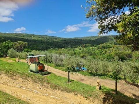 Rustico / casale a San gimignano - Foto 2