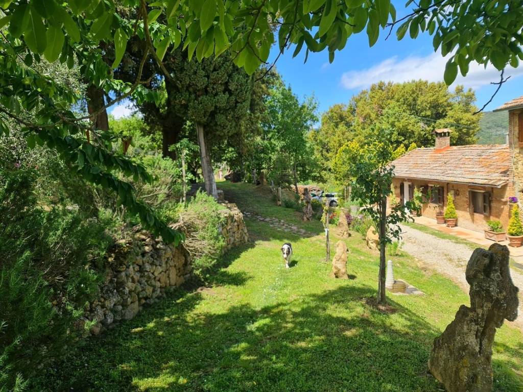 Rustico / casale a San gimignano - Foto 3