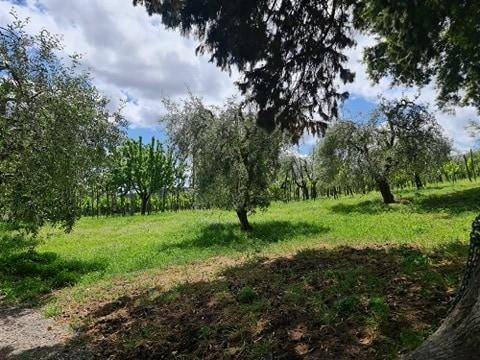 Rustico / casale a San gimignano - Foto 4