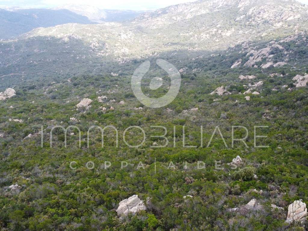 Terreno a Loiri porto san paolo in SP87 - Foto 3