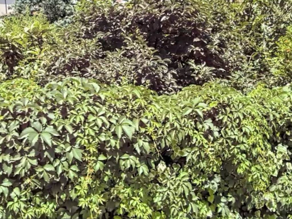 Terreno a Ravenna in Via Ravegnana - Foto 4