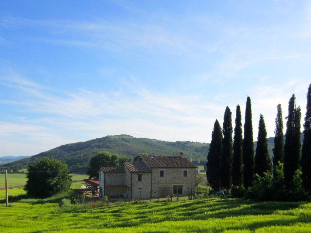 Rustico / casale a Passignano sul trasimeno - Foto 2