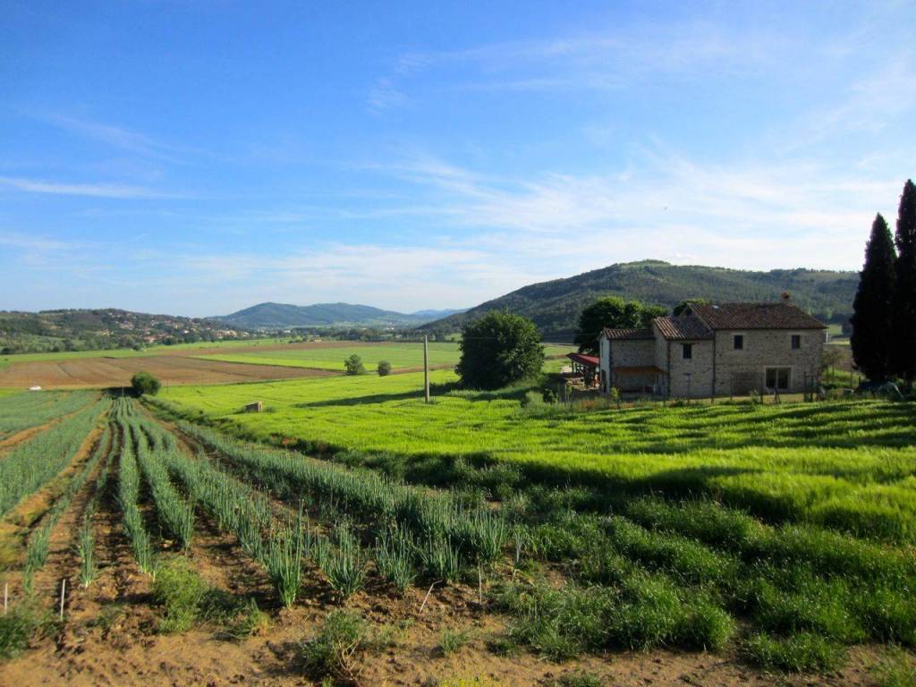 Rustico / casale a Passignano sul trasimeno - Foto 3