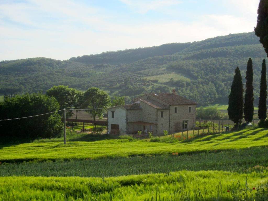 Rustico / casale a Passignano sul trasimeno - Foto 4