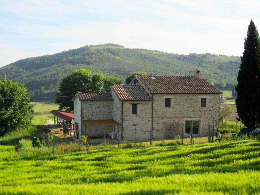 Rustico / casale a Passignano sul trasimeno - Foto 5