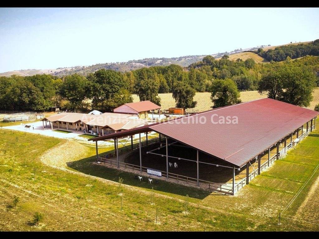 Immobile a Ancona in Strada di Pontelungo - Foto 4