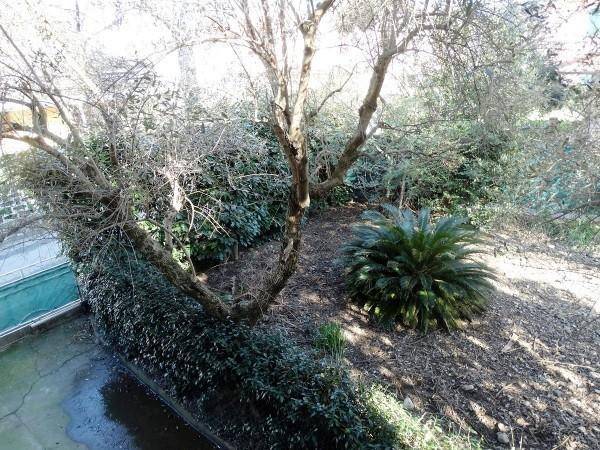 Villa a Sarzana - Foto 2