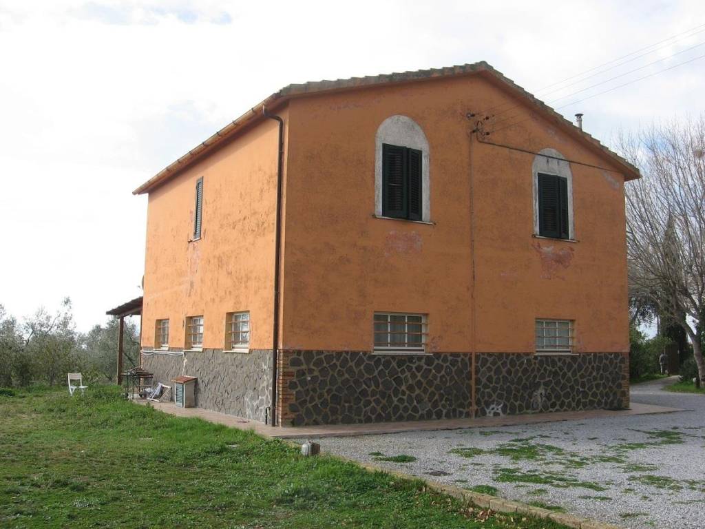 Rustico / casale a Capalbio in Strada Capalbio Pescia Fiorentina - Foto 5