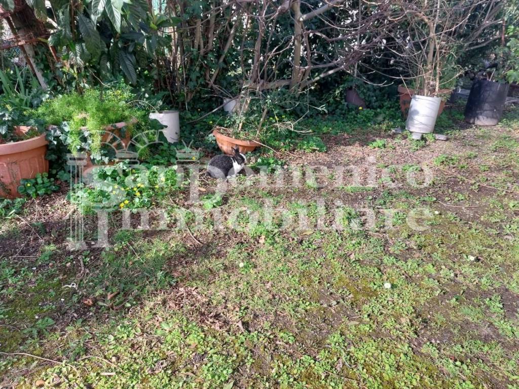Casa indipendente a Cascina in Via Totina - Foto 2