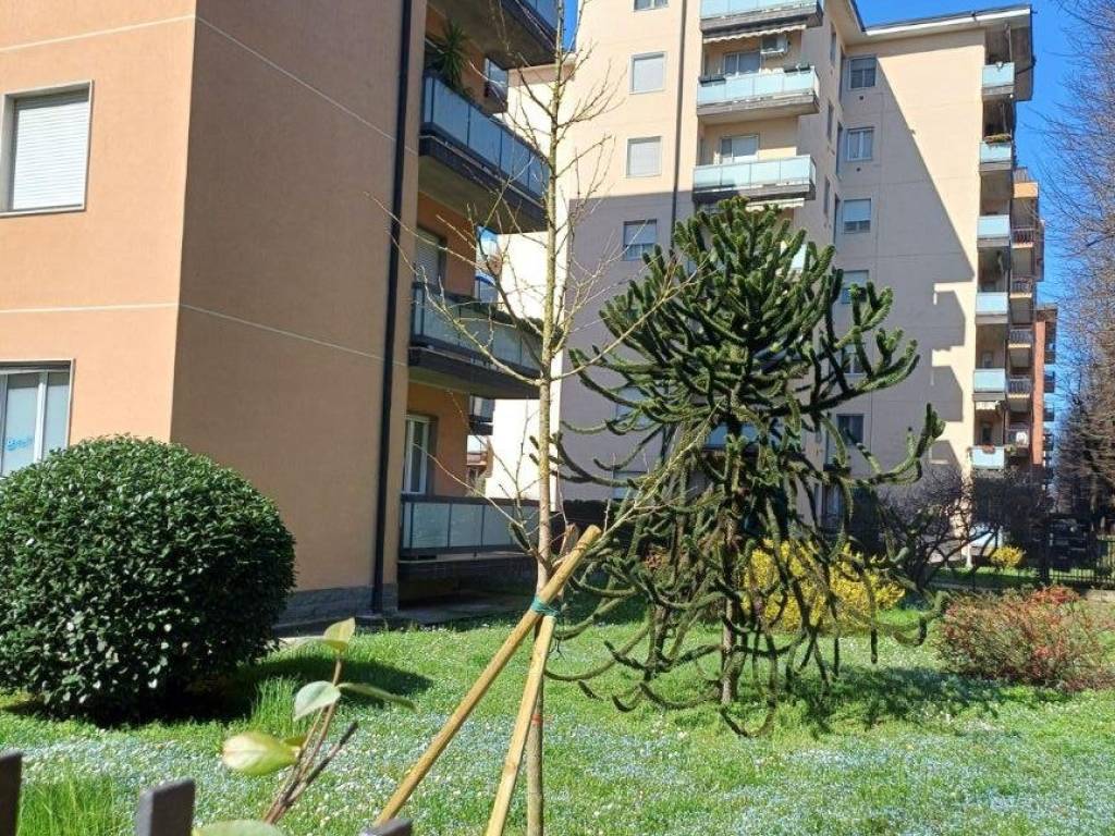 Appartamento a Lodi in Viale Italia, 56 - Foto 5