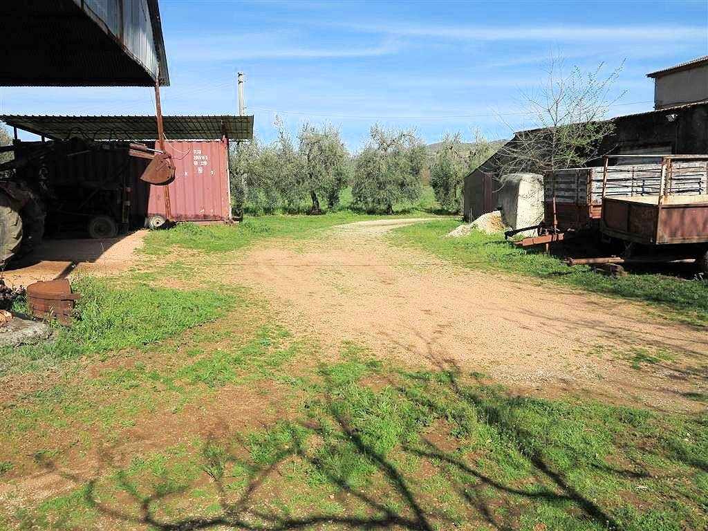 Rustico / casale a Gavorrano in ravi - Foto 5