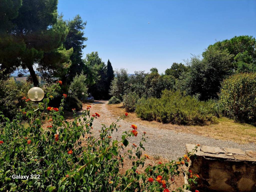 Rustico / casale a Campagnatico in Strada Vicinale dei Marrucheti - Foto 3